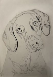 IMG_FraeuleinRuhle_Hundefotografie_0034_DajanaGliemann