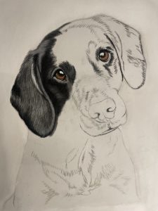 IMG_FraeuleinRuhle_Hundefotografie_0049_DajanaGliemann