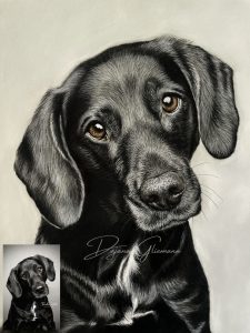 IMG_FraeuleinRuhle_Hundefotografie_6257_DajanaGliemann