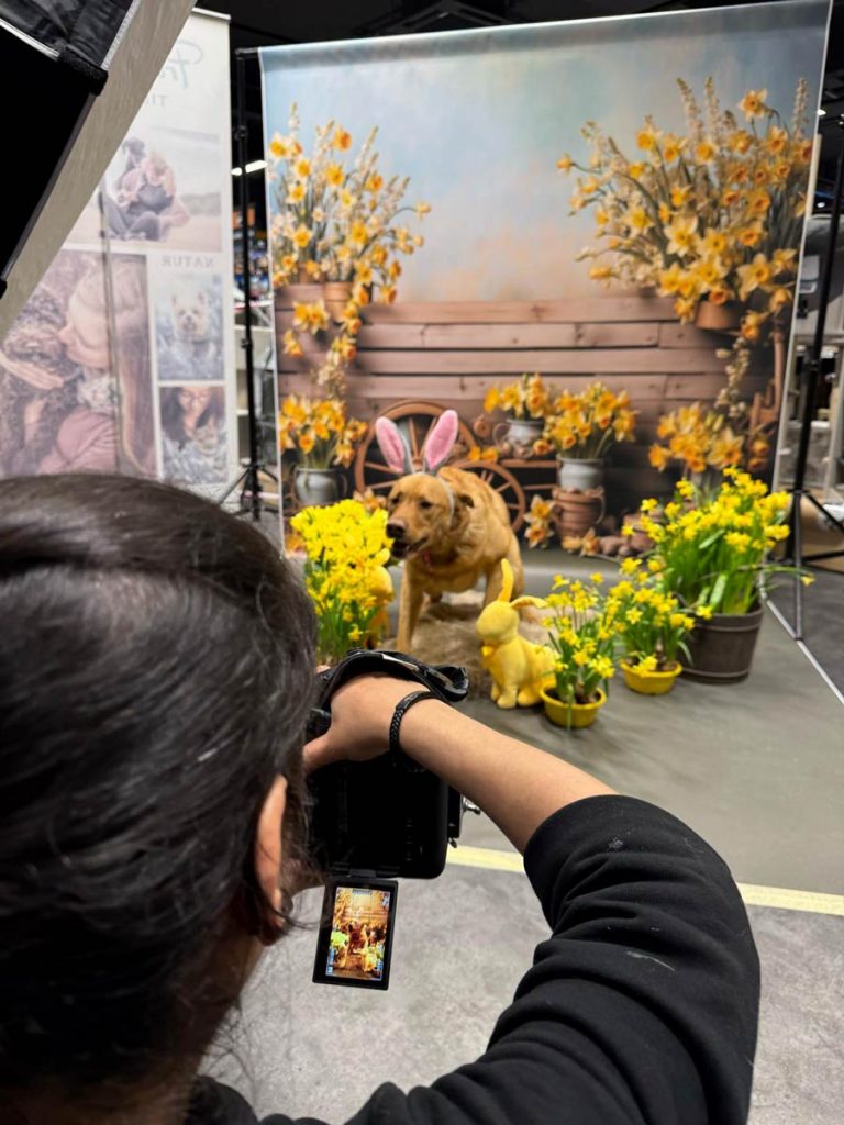 Fraeulein Ruhle Hundefotografie Wedel Team 14