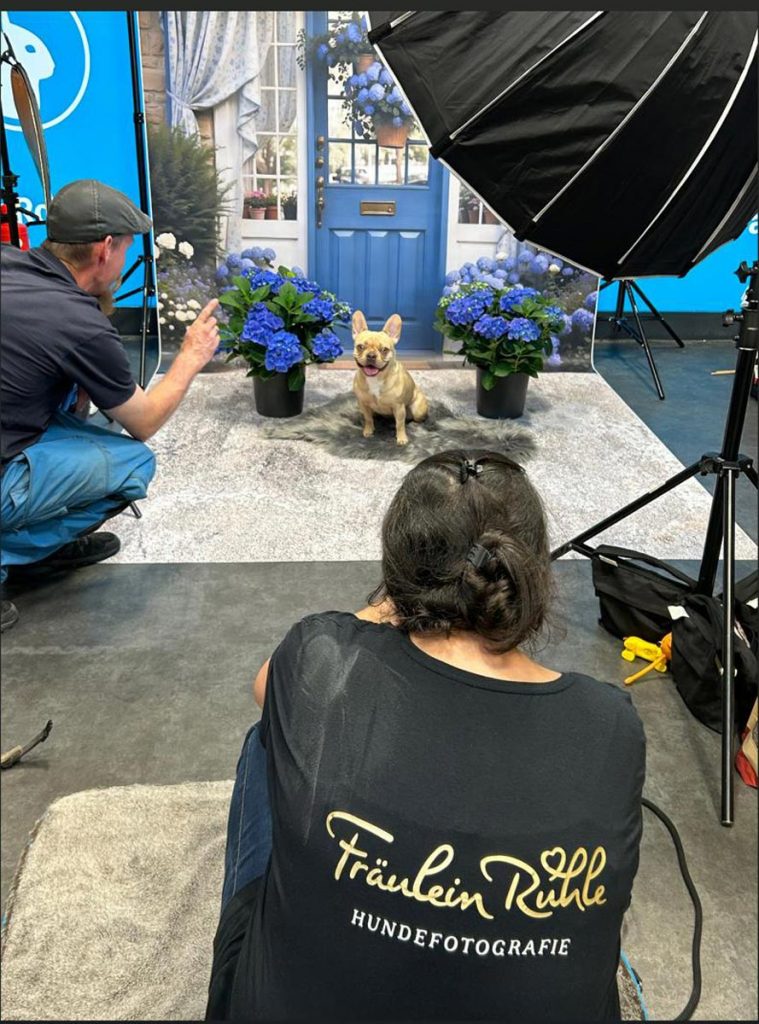 Fraeulein Ruhle Hundefotografie Wedel Team 16