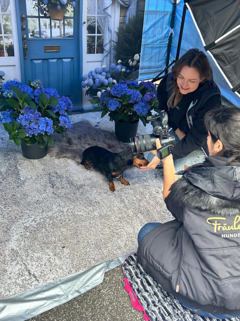 Fraeulein Ruhle Hundefotografie Wedel Team 17