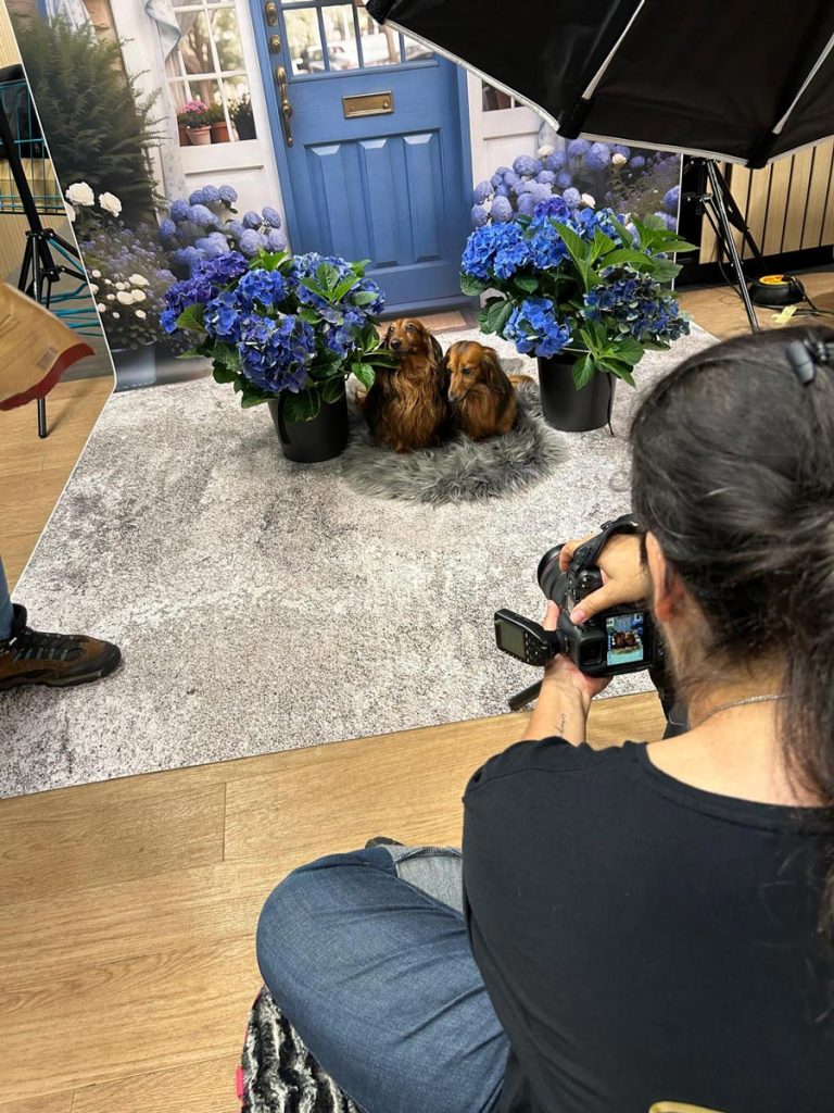 Fraeulein Ruhle Hundefotografie Wedel Team 19