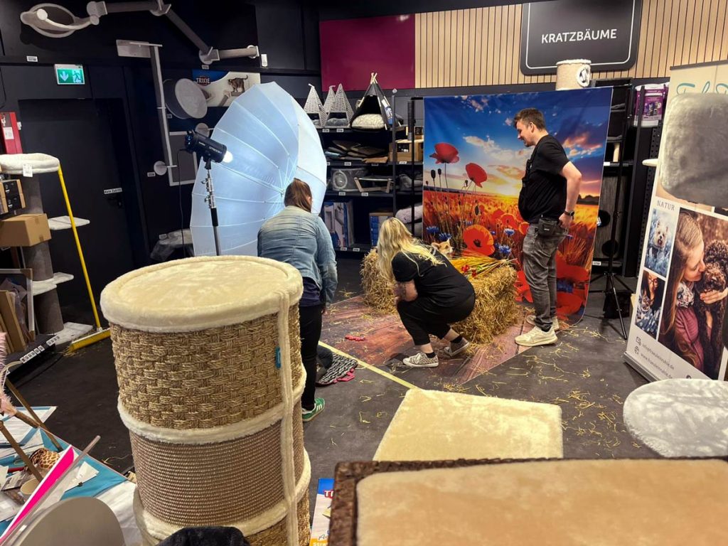 Fraeulein Ruhle Hundefotografie Wedel Team 9