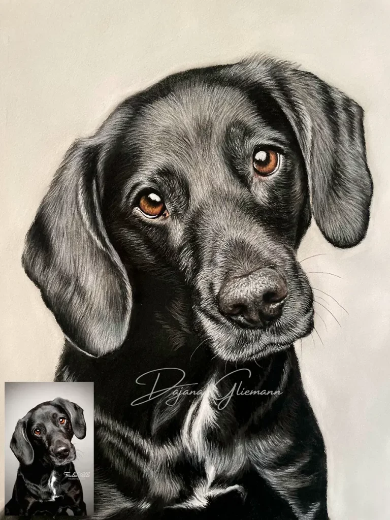 fraeulein ruhle hundefotografie trifft auf pastell wedel hamburg