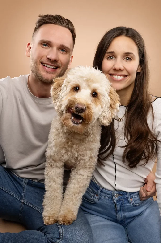 fraeulein ruhle hundefotoshooting fotostudio wedel hamburg labradoodle