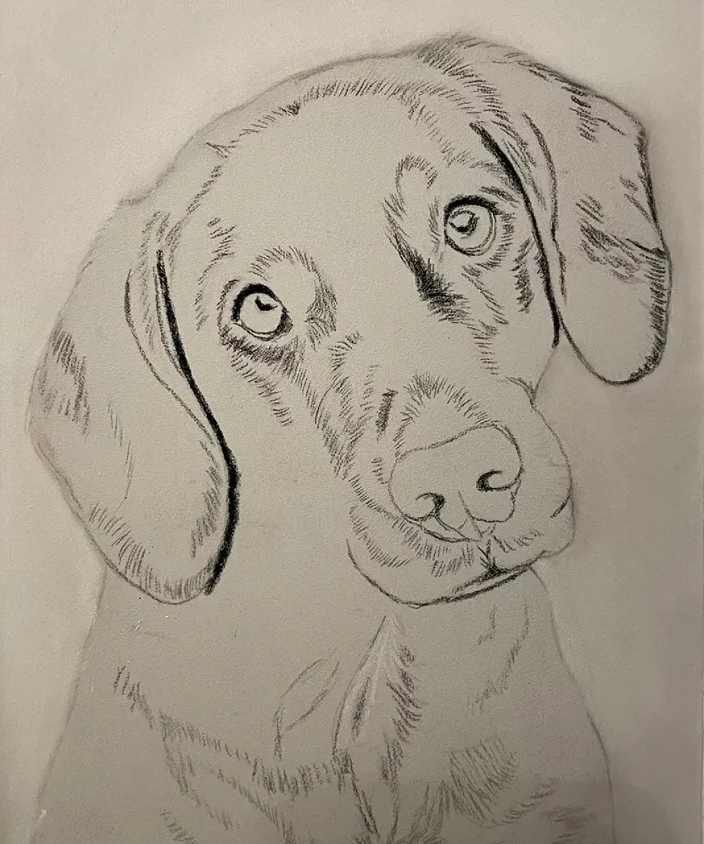 fraeulein ruhle hundefotografie als pastell wedel hamburg